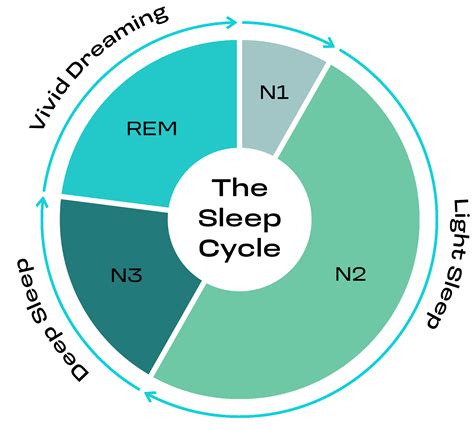 Understanding Sleep Cycles: How They Impact Your Sleep & Why Night