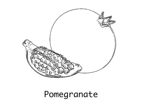 Free to use pomegranate coloring page. Printable for at school or at ...