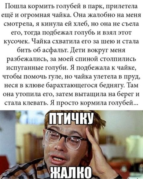 Смешные картинки, приколы, мемы | Смешно, Мемы, Юмористические цитаты