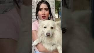 Sofia Ansari Hot New Mms Video Leaked Viral Video Mms Fullscreenstatus Mms Shortsviral Pets