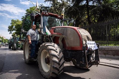 Realizado El Pago Del 90 De Las Ayudas De La PAC A Los Agricultores