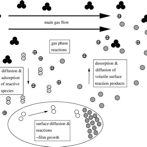 1 Schematic Representation Of Basic Steps In Cvd After Jensen See 14 Download Scientific