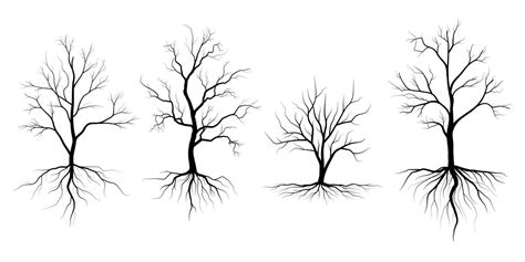 Big Collection Black Tree Or Naked Trees Silhouettes Vector Hand Drawn Isolated Illustrations