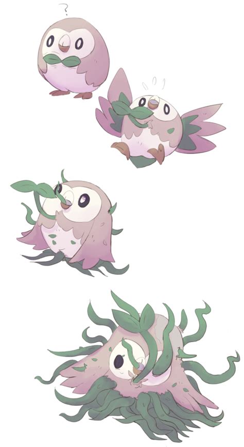 rowlet evolution by boke-0327 on DeviantArt