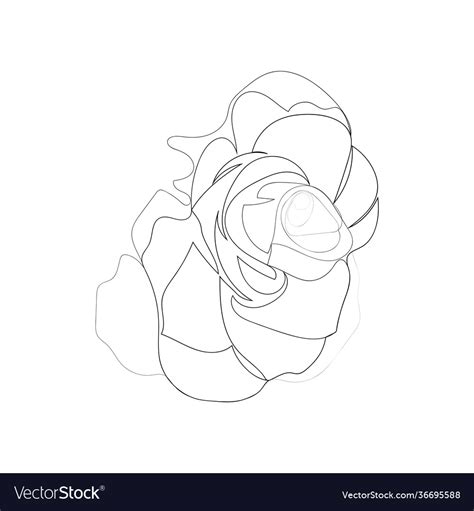 Continuous Line Drawing Beautiful Flowers Vector Image