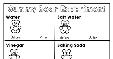 Gummy Bear Lab Worksheet