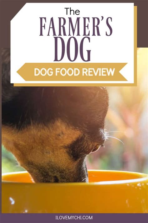 The Farmers Dog Dog Food Review - I Love My Chi