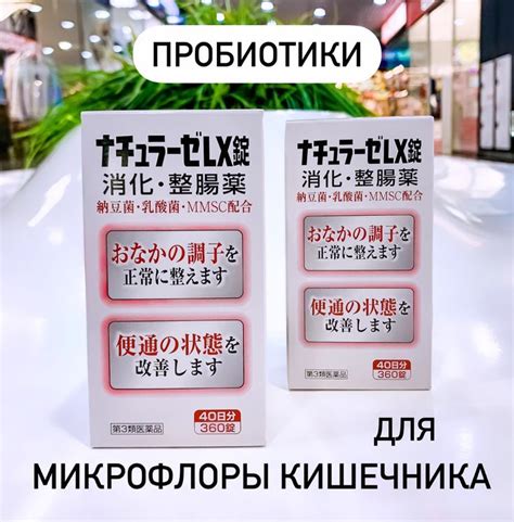 Японские Пробиотики для Здоровья Кишечника и Кожи