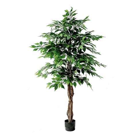 Amazon WWANSEASY Artificial Ficus Tree With Natural Wood Trunk