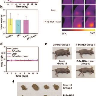 Antitumor Therapy In Vivo Nude Mice Bearing MCF 7 Tumors N 16 Were
