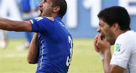 Fifa probes Luis Suarez 'biting' incident