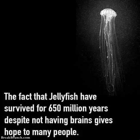 Never happened - BreakBrunch