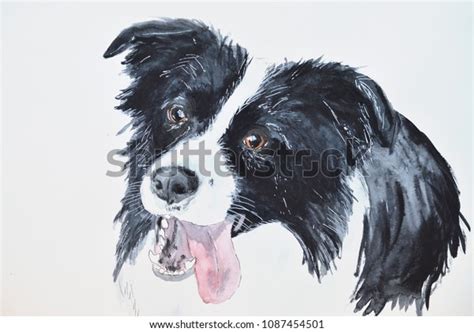 Border Collie Watercolor Stock Illustration 1087454501