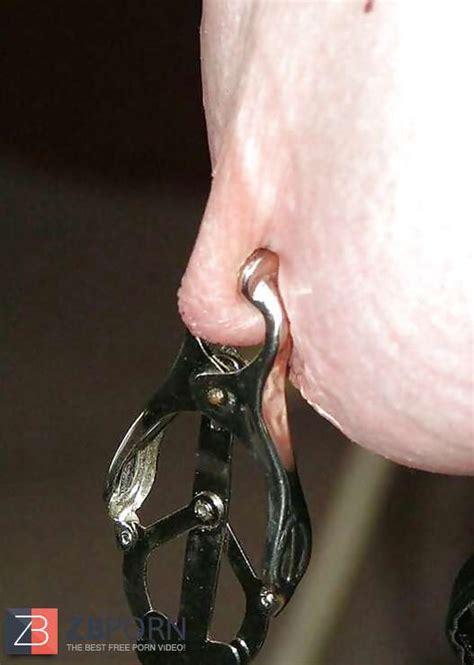 Super Naughty Puffies Legitimate By Searcher ZB Porn