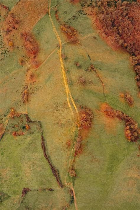 An aerial view of a grassy field with trees photo – Countryside Image ...