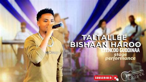 Leencoo Guddinaa New Music 2023 Official Live Performance Youtube