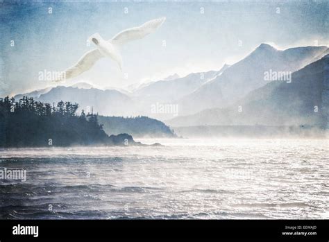 Sea Bird Flying Over Ocean Waves Hi Res Stock Photography And Images