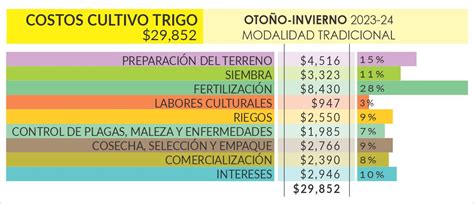 Costos de Producción 2023 2024 Trigo Panorama AGROPECUARIO