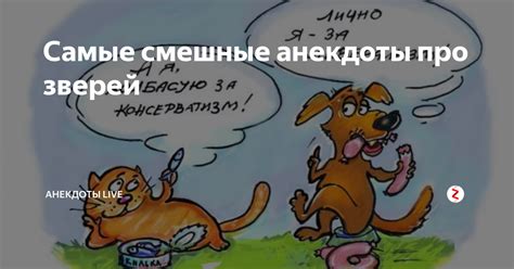 Самые смешные анекдоты про зверей | анекдоты live | Дзен