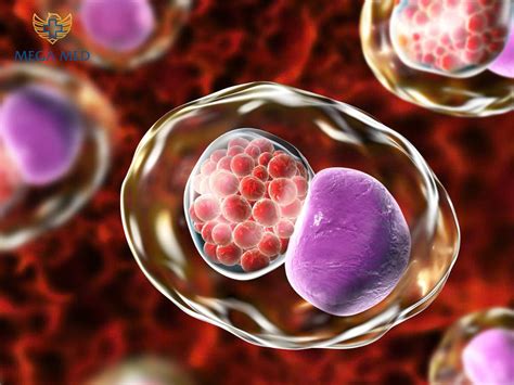 Chlamydia có chữa được không? Phương pháp điều trị Chlamydia