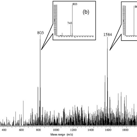 Mass Spectra Collected As Total Ion Current Tic From The Direct