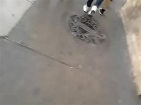 Rabazo En Av Wilson XVIDEOS