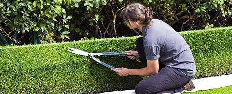 Hedge Trimming Tips | iTrim4U