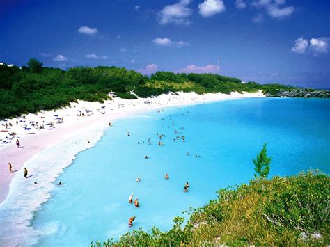 Above : Bermuda Tourism