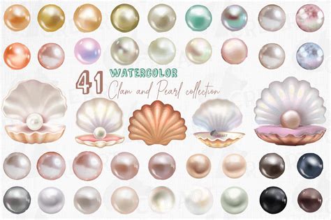 Watercolor Clam Shell And Pearls Design Elements Clip Art