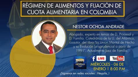 Tema R Gimen De Alimentos Y Fijaci N De Cuota Alimentaria En Colombia