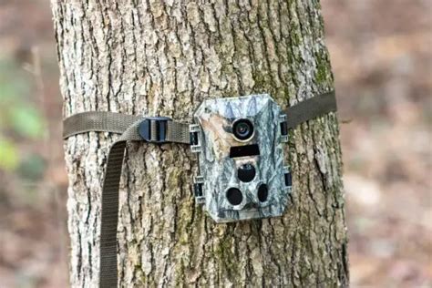 500+ Hunter Pictures | Download Free Images on Unsplash