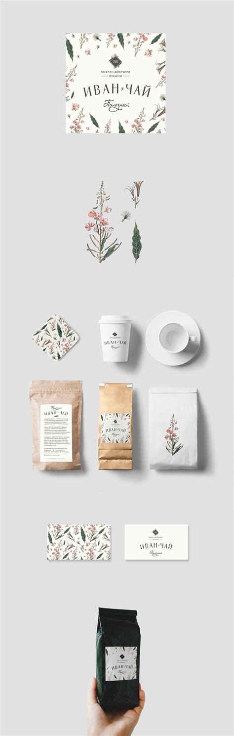 Иван-чай полезный | Behance