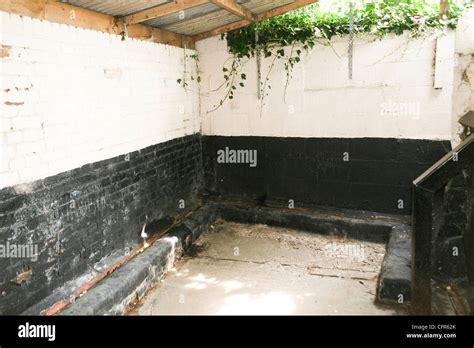 The Gents Urinals At Shrewsbury Town Football Club Gay Meadow Stock Photo Alamy