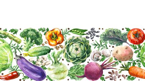 Home - Green PIK-LAT