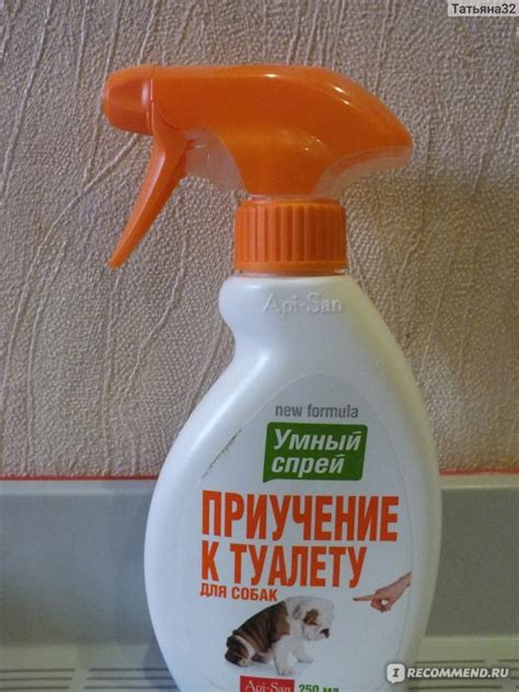 Умный спрей Апи-Сан Приучение к туалету для собак - «Чуда не случилась ...