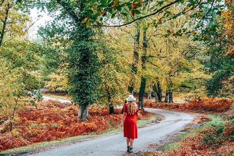 Autumn in Europe: Where to See Fall Colors – Explore With Lora