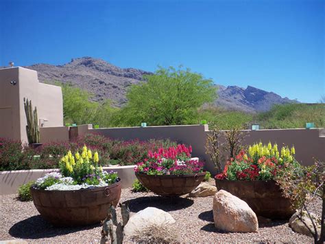 Landscape Design Tucson Landscaping Tucson Sonoran Gardens