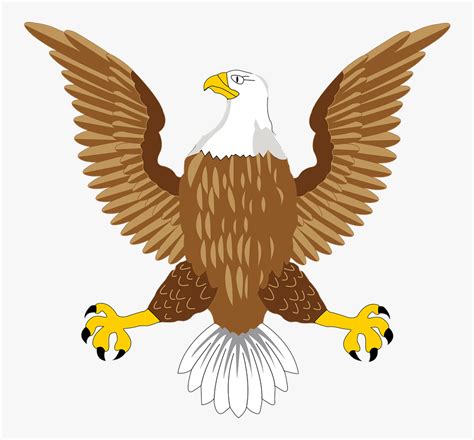 Bald, Eagle, National, Usa, Symbol, Bird, American - Usa Bald Eagle