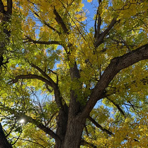 Obituaries | Dahl Funeral Chapel