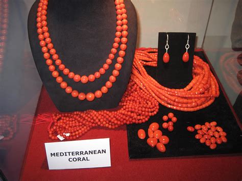 Red Coral: What's the Future? - Living Oceans FoundationLiving Oceans ...