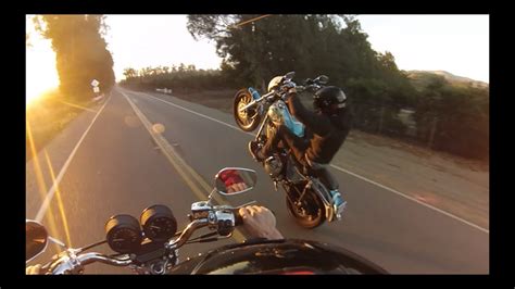 Harley Davidson Wheelies And More 2 Youtube