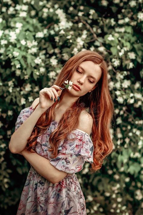 A Girl In A Light Summer Dress Stands Near A Bird Cherry Bush On A Hot Summer Day Stock Image