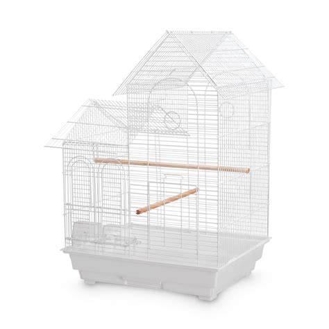 can cockatiel stressed cheap 4