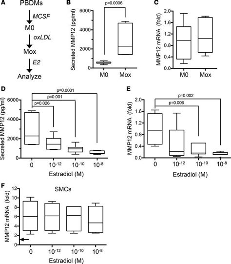 Jci Insight Cardiovascular Protection In Females Linked To Estrogen