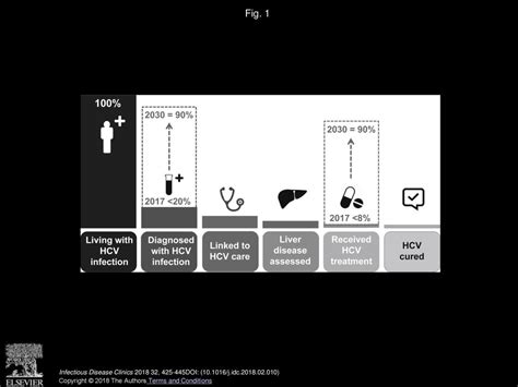 Hepatitis C Virus Diagnosis And The Holy Grail Ppt Download