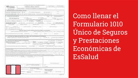 C Mo Completar El Formulario Nico Para Seguro Y Beneficios