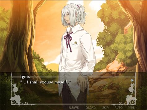 save   enigma  steam