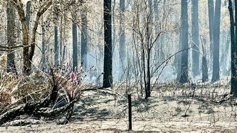 200 Acre Weekend Brush Fire In Martin County Now 100 Contained