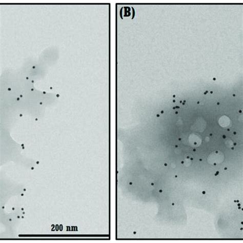 Tem Micrographs Of Agnp Ns Qrc The Agnps Are Both Dispersed A And