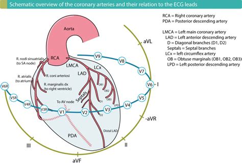 Kardiale Thromboembolie Kardiale Emboliequellen Ekg And Echo